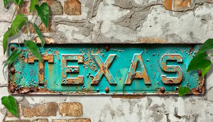 RUSTIC TEXAS METAL Wall Art